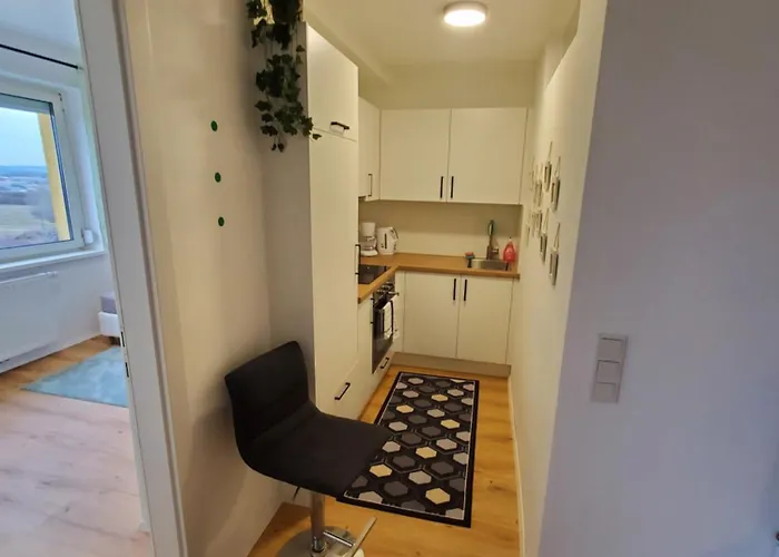 Lägenhet Reindeer - Wohnen Ueber Den Daechern Von Traun Linz